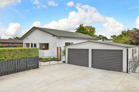 Photo of property in 24 Bankwood Road, Chartwell, Hamilton, 3210