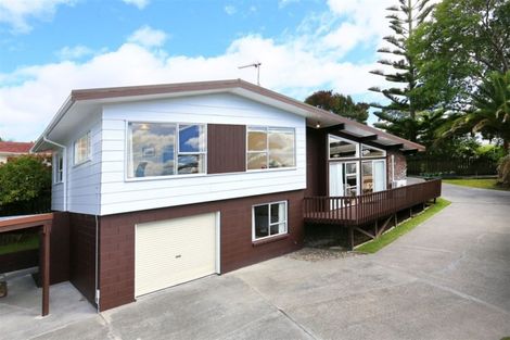 Photo of property in 29 Eyre Street, Henderson, Auckland, 0612
