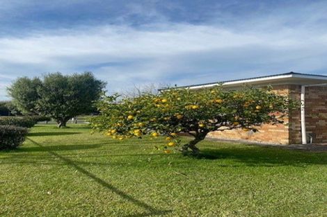 Photo of property in 17 Augusta Street, Fairfield, Hamilton, 3214