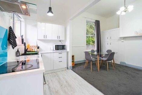 Photo of property in 41a Garfield Avenue, Roslyn, Dunedin, 9010