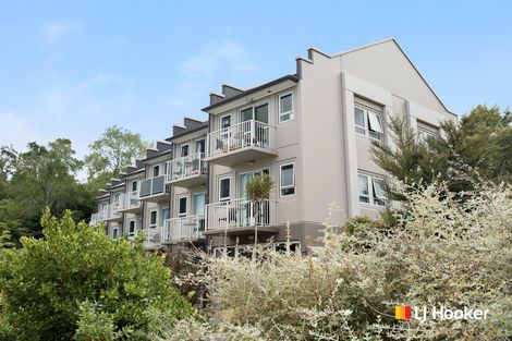 Photo of property in 45/61 North Road, North East Valley, Dunedin, 9010