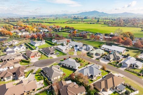 Photo of property in 25 Mckenzie Place, Matamata, 3400