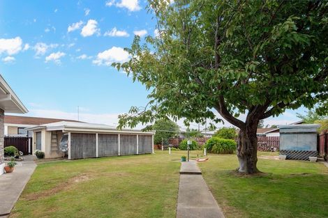 Photo of property in 7 Lawrence Place, Blenheim, 7201