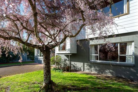 Photo of property in 8 Keitha Place, Kinloch, Taupo, 3377