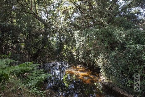 Photo of property in 1134 Old North Road, Helensville, Waimauku, 0882