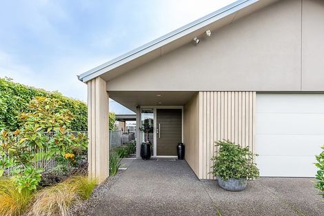 Photo of property in 299 Carmichael Road, Brookfield, Tauranga, 3110