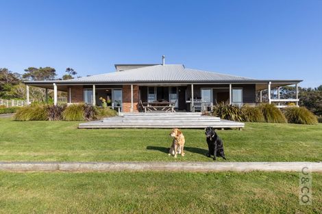 Photo of property in 457 Kiwitahi Road, Helensville, 0875