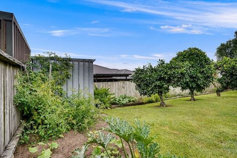Photo of property in 49e Carey Street, Maeroa, Hamilton, 3200