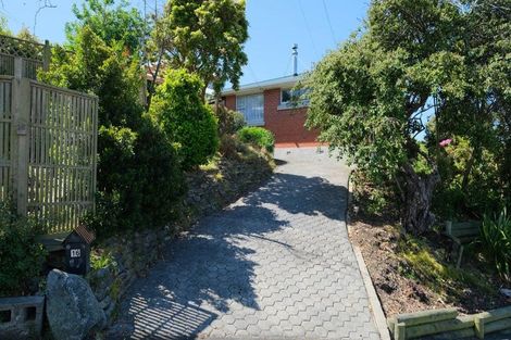 Photo of property in 16 Forfar Street, Clyde Hill, Dunedin, 9011