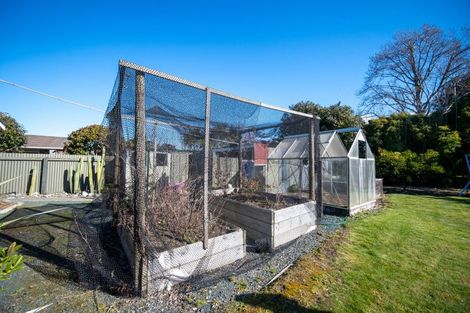 Photo of property in 24 Pethybridge Street, Motueka, 7120