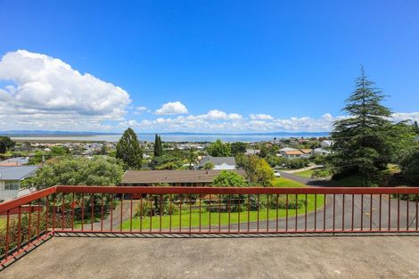 Photo of property in 318 Hill Street, Thames, 3500