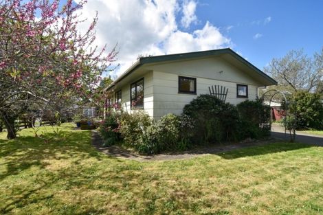 Photo of property in 12 Tasman Crescent, Carterton, 5713