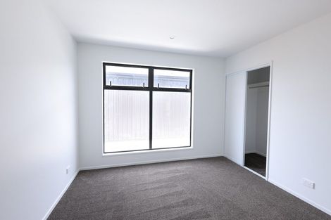 Photo of property in 45 Bordesley Street, Phillipstown, Christchurch, 8011