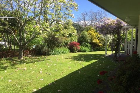 Photo of property in 28b Porangahau Road, Waipukurau, 4200