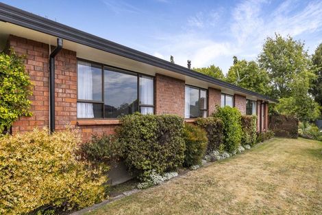 Photo of property in 17 Morrington Terrace, Witherlea, Blenheim, 7201