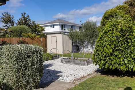 Photo of property in 12 Willis Place, Renwick, 7204