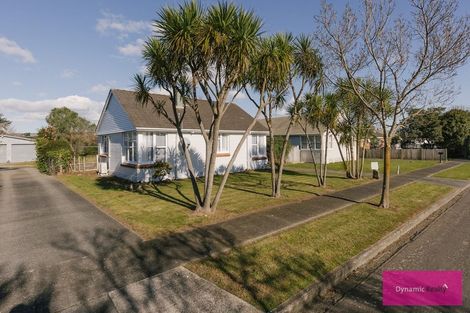Photo of property in 30 Leicester Street, Terrace End, Palmerston North, 4410