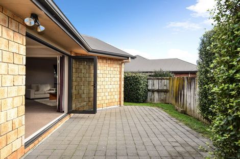 Photo of property in 13 Ellsworth Place, Chartwell, Hamilton, 3210