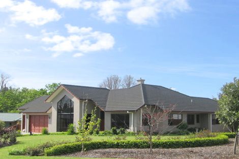 Photo of property in 14 Maple Place, Morrinsville, 3300