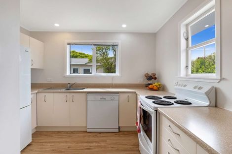 Photo of property in 113 Stanford Street North, Ashhurst, 4810