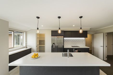 Photo of property in 161 Mount Taylor Drive, Feilding, 4775