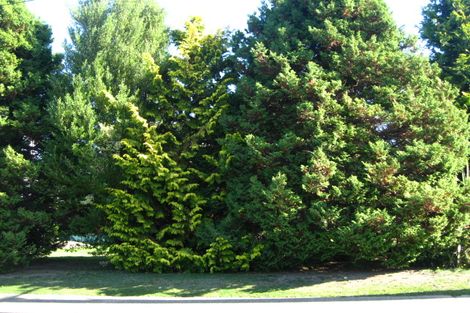 Photo of property in 40 High Street, Mosgiel, 9024