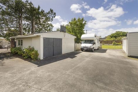 Photo of property in 60 Skerman Street, Marton, 4710