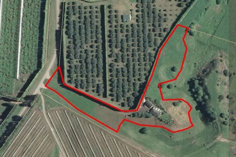 Photo of property in 161 Walford Road, Aongatete, Katikati, 3181