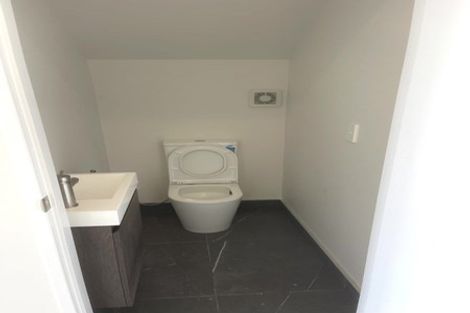 Photo of property in 17 Cyperus Street, Flat Bush, 2019