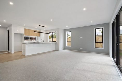 Photo of property in 10 Limbrick Street, Terrace End, Palmerston North, 4410