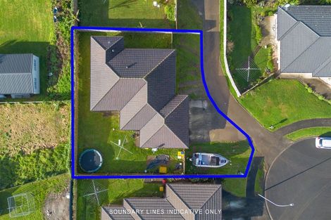 Photo of property in 35 Lachlan Place, Favona, Auckland, 2024