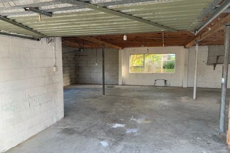 Photo of property in 54 Fruitvale Road, New Lynn, Auckland, 0600