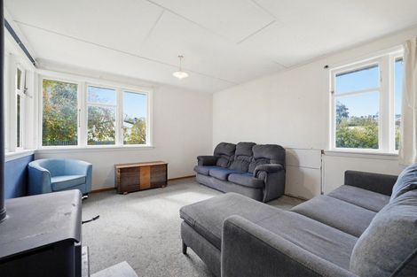 Photo of property in 24 Hawkswood Street, Waiau, 7332