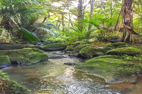 Photo of property in 420 Mangakura Road, Helensville, 0875