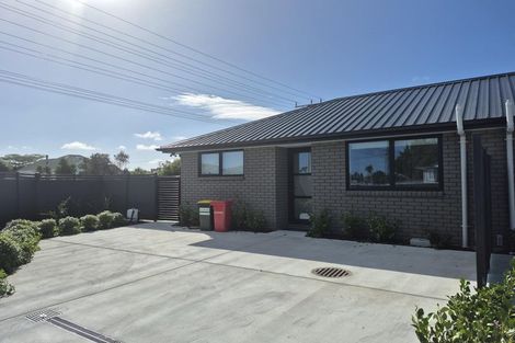 Photo of property in 50b Elizabeth Street, Levin, 5510