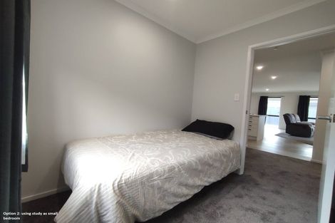 Photo of property in 13 Lochhead Street, Mahora, Hastings, 4120