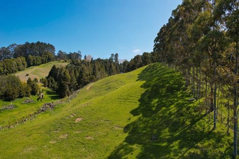 Photo of property in 246 Te Tio Road, Umawera, Okaihau, 0476