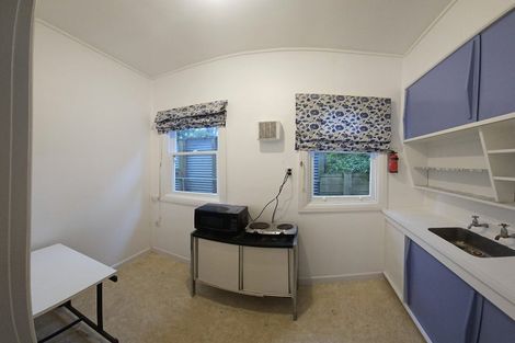 Photo of property in 20 Washington Avenue, Brooklyn, Wellington, 6021