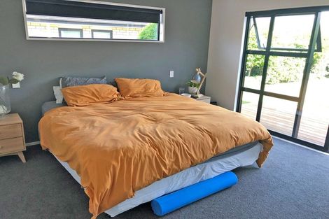 Photo of property in 321 Island Road, Kaiapoi, 7630