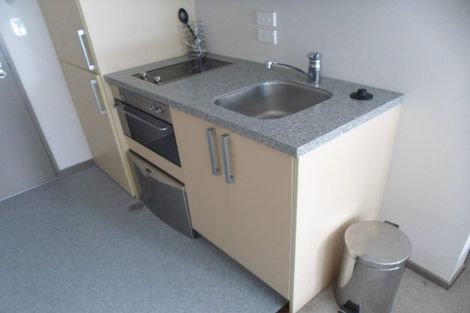 Photo of property in Dual Apartments, 108/142u Vivian Street, Te Aro, Wellington, 6011