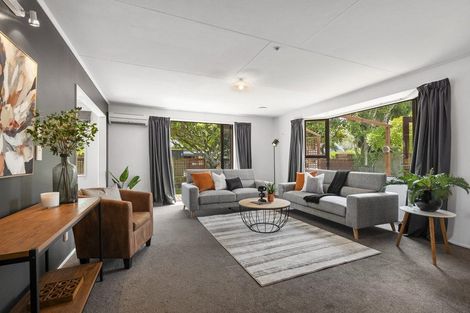 Photo of property in 3 Newland Court, Palmerston North, 4410