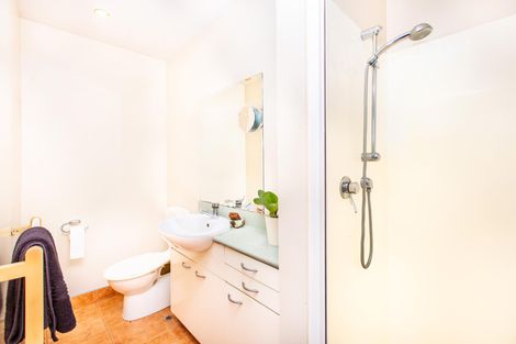 Photo of property in 118 Grantham Street, Hamilton Central, Hamilton, 3204
