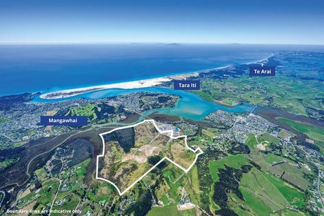 Photo of property in 83 Molesworth Drive, Mangawhai, 0505
