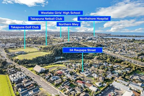 Photo of property in 3a Raupapa Street, Northcote, Auckland, 0627