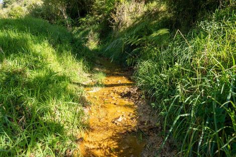 Photo of property in 42 Tirohanga Road, Kawakawa, 0282