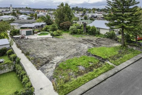 Photo of property in 113 Davis Street, Saint Leonards, Hastings, 4120