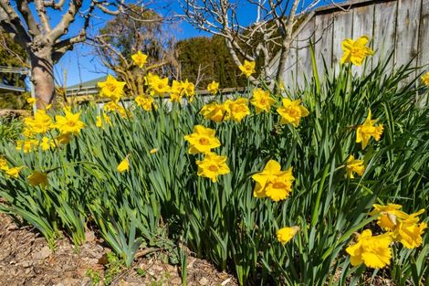 Photo of property in Wairau Valley, Wairau Valley, Blenheim, 7271