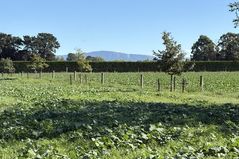 Photo of property in 118 Mairaki Road, Fernside, Rangiora, 7471