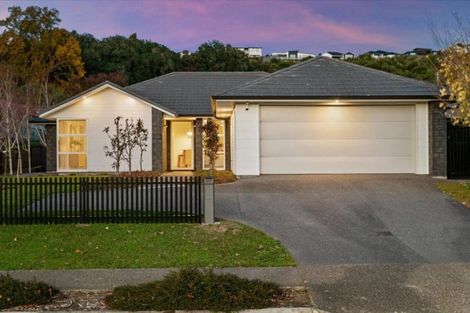 Photo of property in 217 Lakes Boulevard, Pyes Pa, Tauranga, 3112