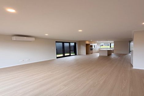 Photo of property in 11 Joint Avenue, Chartwell, 3210